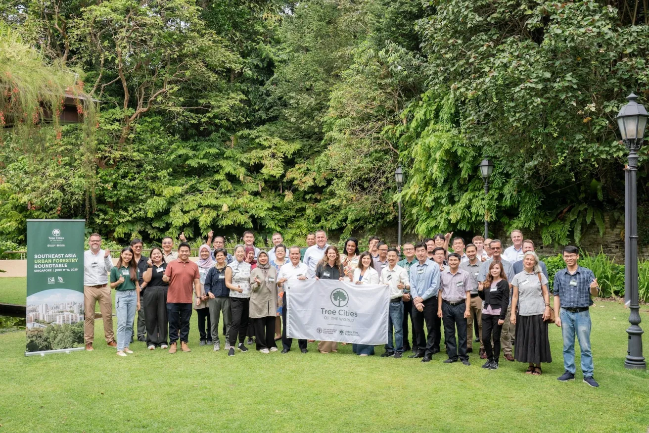 South Asia Tree City of the World team